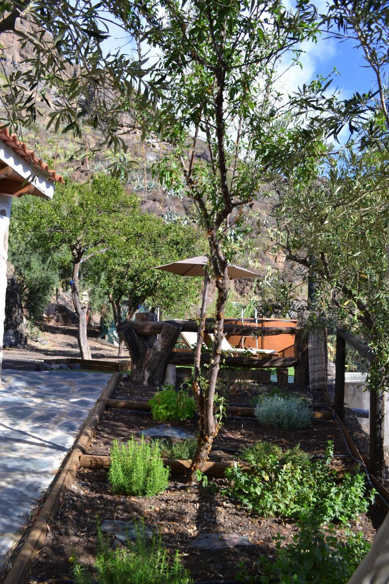 Finca Mariola - Alpendre San Bartolome Bagian luar foto